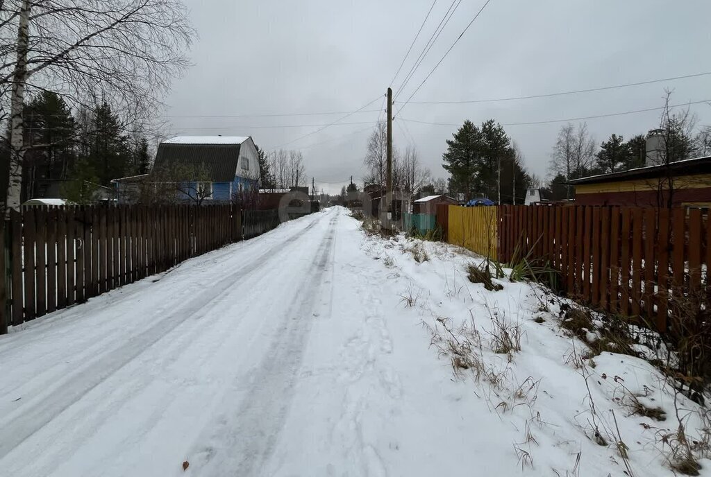 земля р-н Приморский снт тер.Сосенка фото 2