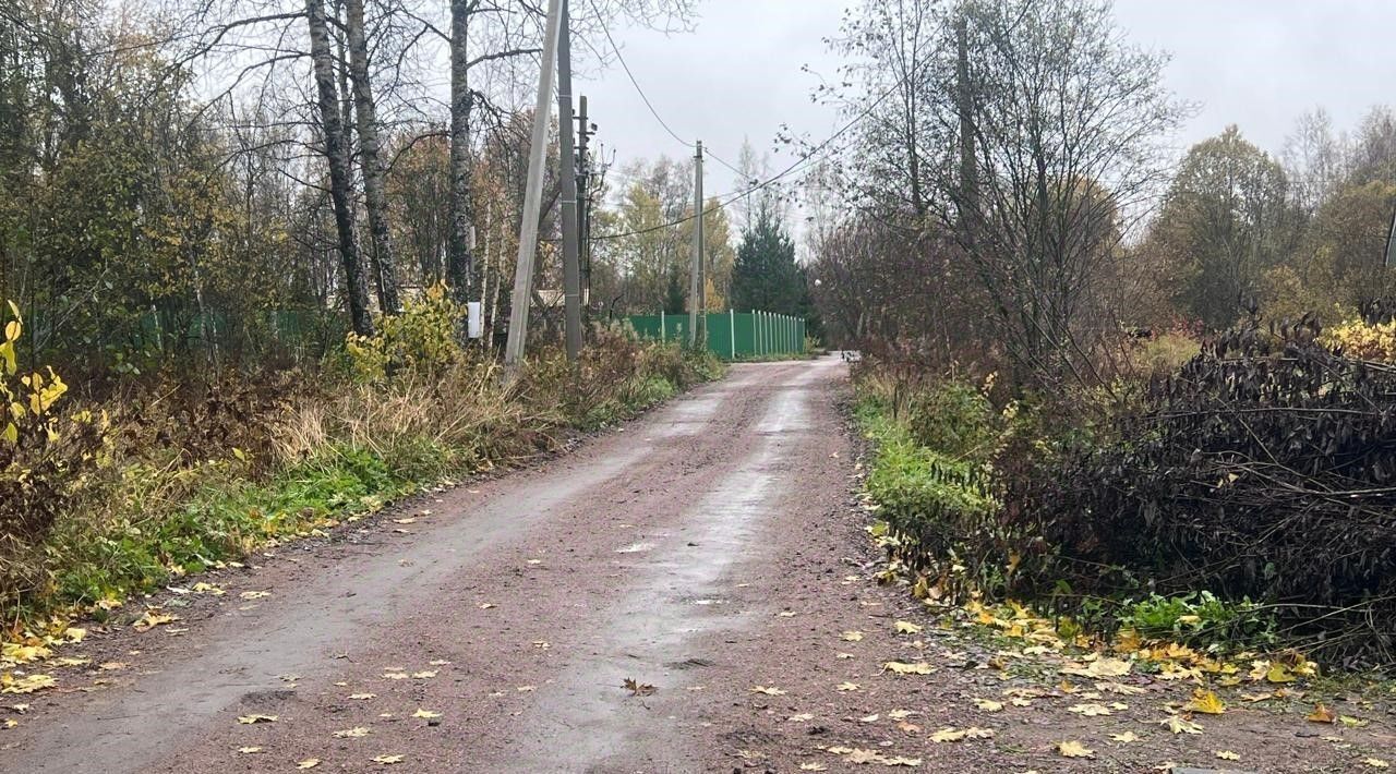 земля р-н Выборгский г Выборг р-н Сайменский пос. Дубки фото 5