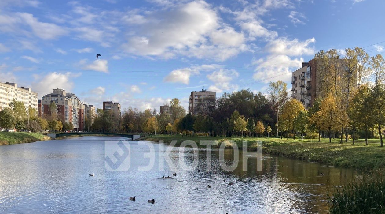 квартира г Санкт-Петербург метро Проспект Ветеранов пр-кт Ветеранов 44 фото 11