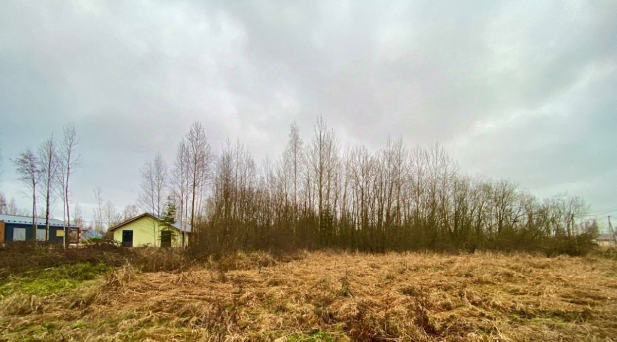 земля р-н Всеволожский д Коккорево Рахьинское городское поселение, массив, ул. Лесная, 2 фото 6