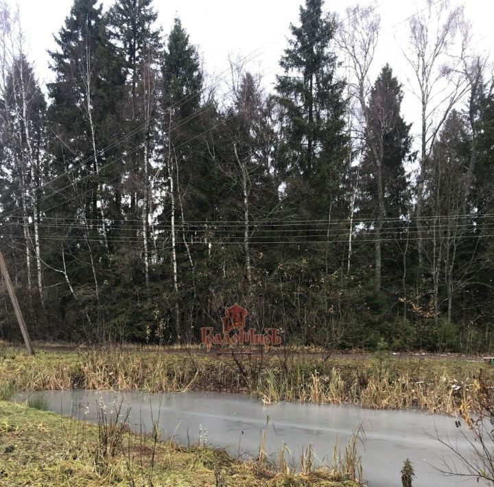 дом городской округ Дмитровский с Ильинское 78 фото 15