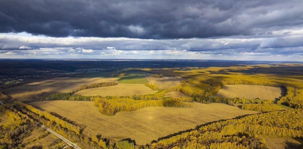 земля р-н Заокский Демидовское муниципальное образование фото 6