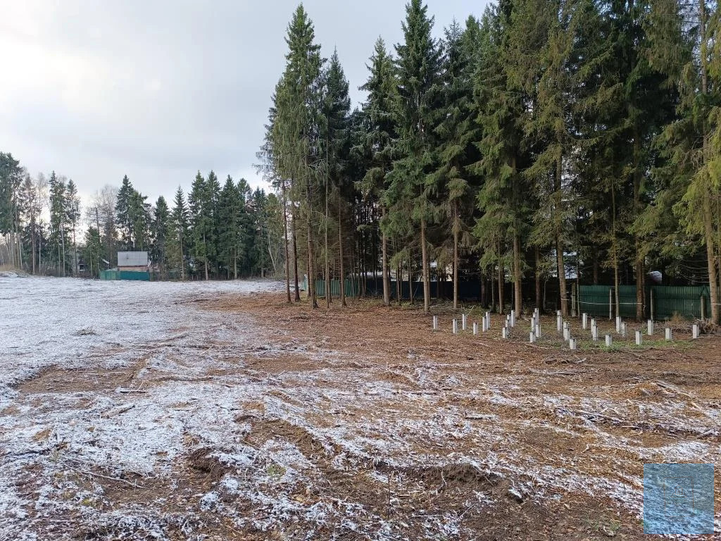 земля городской округ Солнечногорск д Михайловка михайловка, Ленинградское фото 3