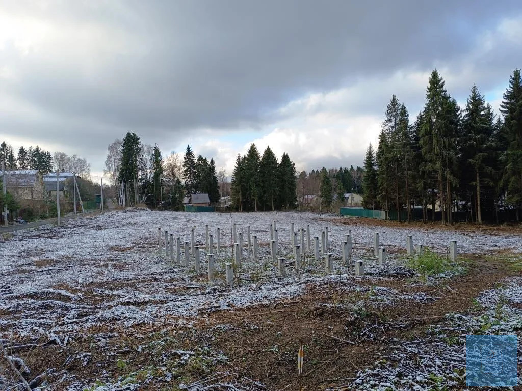 земля городской округ Солнечногорск д Михайловка михайловка, Ленинградское фото 4