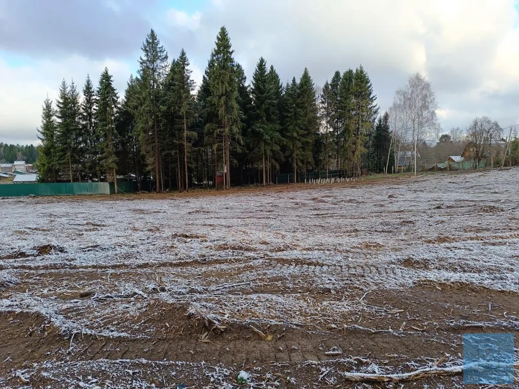 земля городской округ Солнечногорск д Михайловка михайловка, Ленинградское фото 8