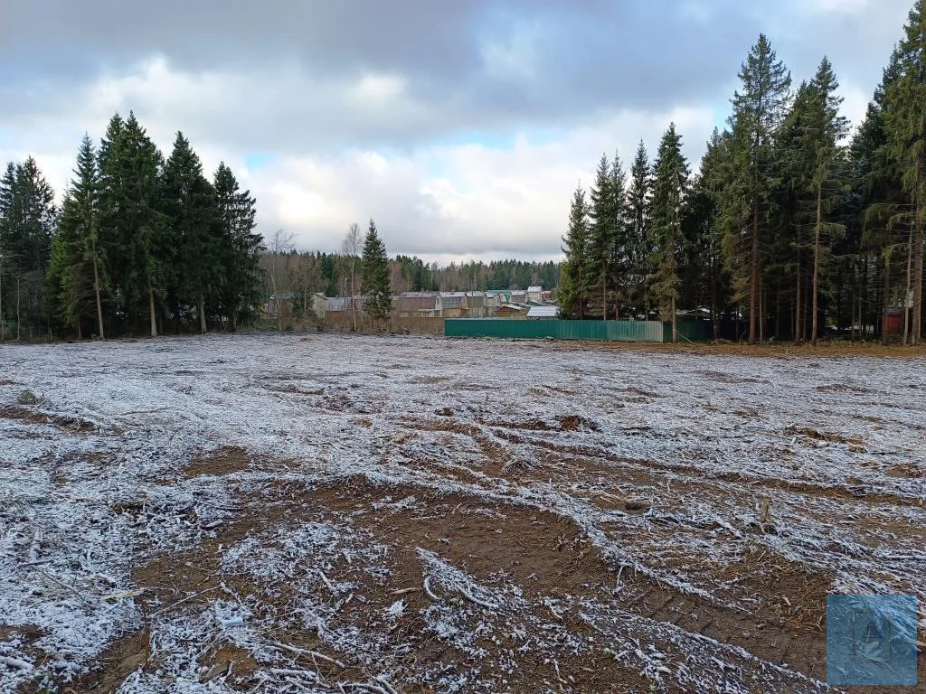 земля городской округ Солнечногорск д Михайловка михайловка, Ленинградское фото 9