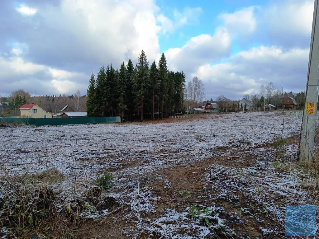 земля городской округ Солнечногорск д Михайловка михайловка, Ленинградское фото 12