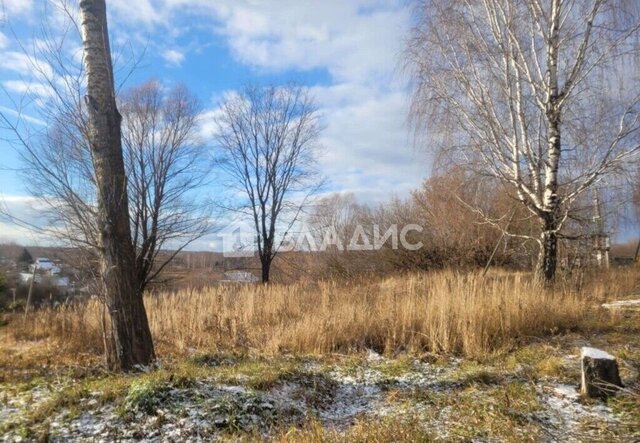 д Заозерье ул Центральная 24 Богородск фото