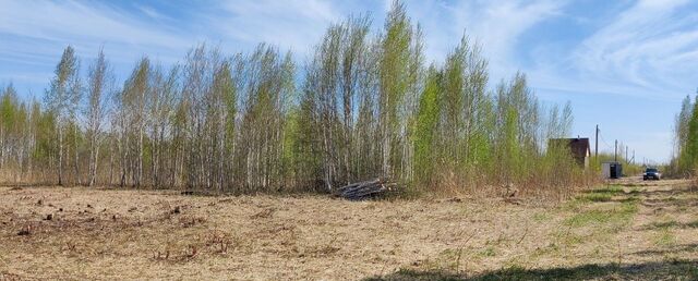 товарищество собственников недвижимости Большое Царёво-1 фото