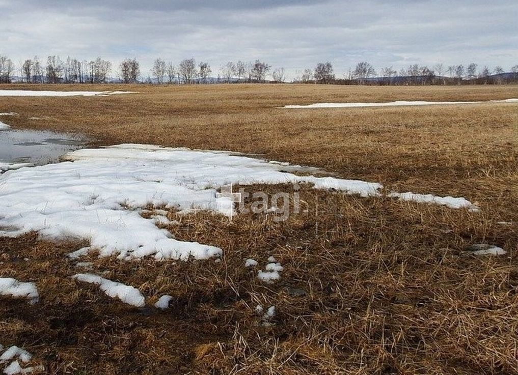 земля г Хабаровск р-н Краснофлотский сад Даурия фото 2