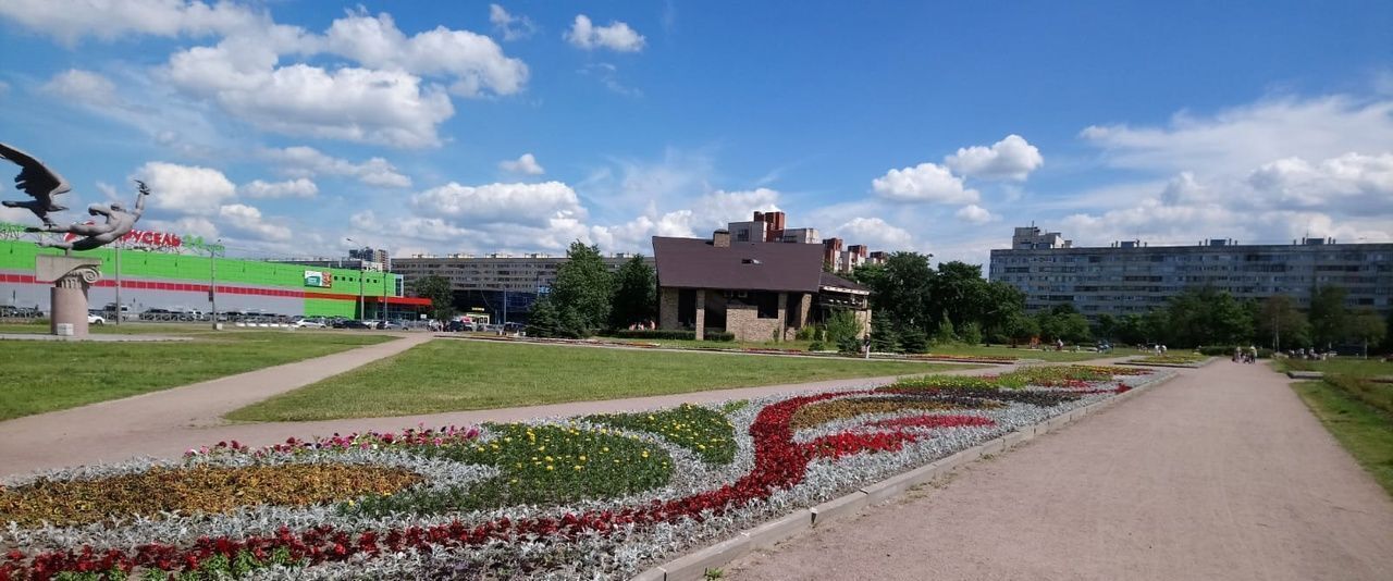 квартира г Санкт-Петербург метро Гражданский Проспект ул Демьяна Бедного 10к/4 округ Северный фото 31