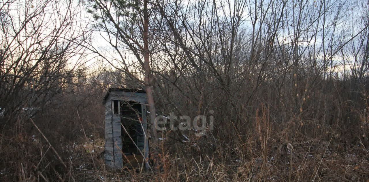 земля р-н Колыванский Калина красная садовое товарищество фото 17