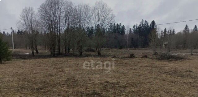 земля р-н Пригородный п Лая ул Лесная фото