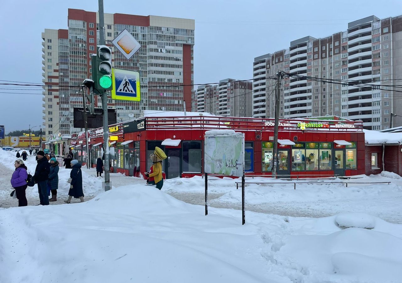 торговое помещение р-н Всеволожский д Новое Девяткино ул Главная 54 Девяткино, Новодевяткинское сельское поселение фото 9