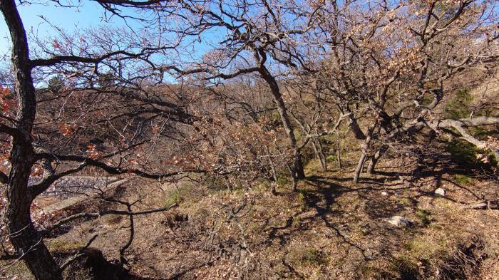 земля г Ялта с Оползневое городской округ Ялта, д. 3 фото 7