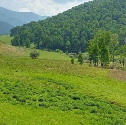 земля р-н Шебалинский с Шебалино ул Советская Шебалинское сельское поселение фото 1