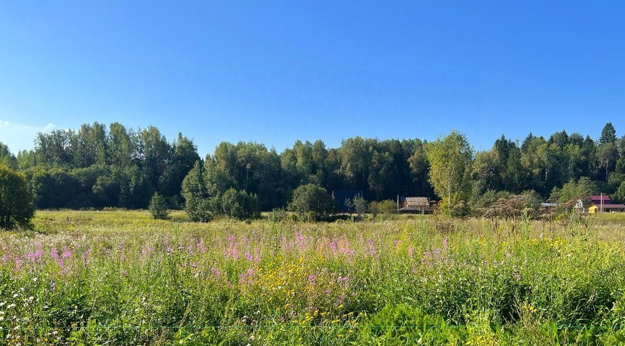 земля городской округ Дмитровский с Ильинское КП Васнецово Озеро, Васнецово озеро фото 17