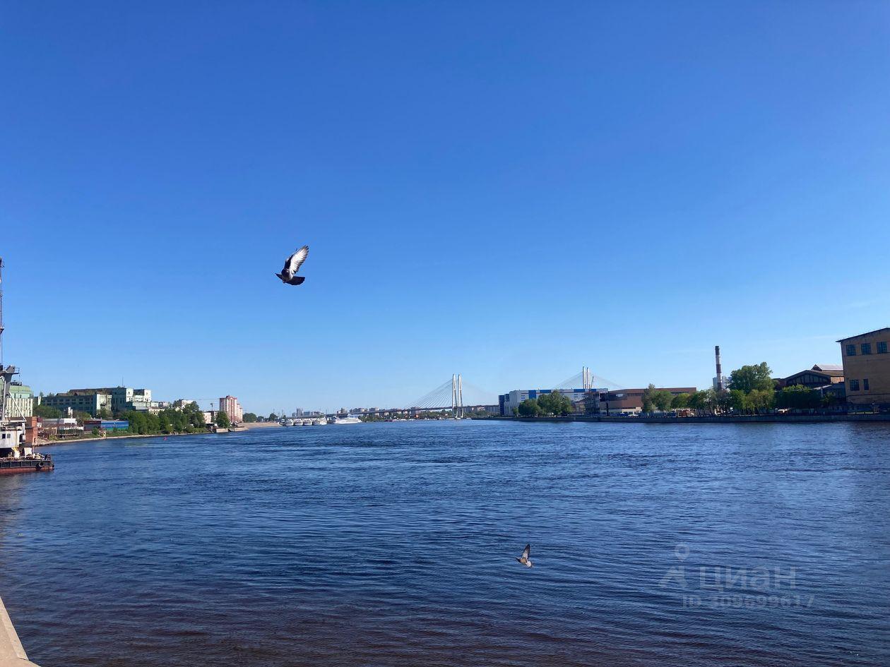 квартира г Санкт-Петербург пр-кт Большевиков Ленинградская область фото 4