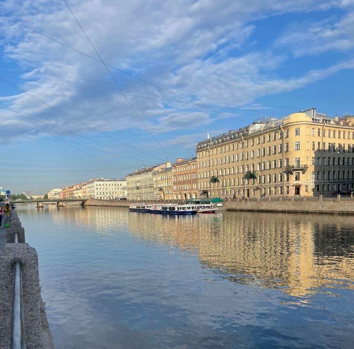 квартира г Санкт-Петербург метро Звенигородская наб Реки Фонтанки 84 Владимирский округ фото 7