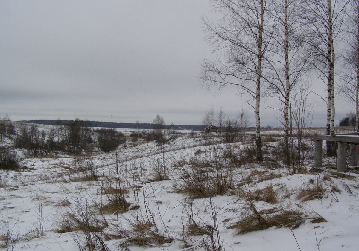 дом городской округ Шаховская д Якшино ул Центральная 114 км, Новорижское шоссе фото 19