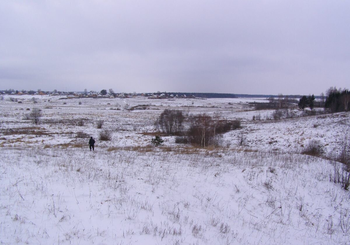 дом городской округ Шаховская д Якшино ул Центральная 114 км, Новорижское шоссе фото 22