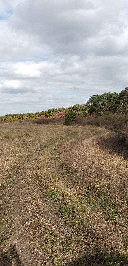 земля р-н Белогорский с Русаковка Русаковское сельское поселение, Белогорск фото 1