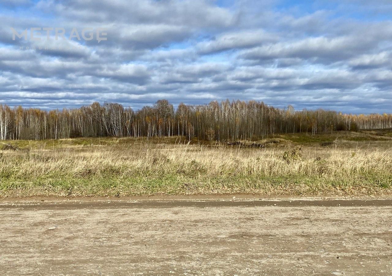 земля р-н Новосибирский Каменский сельсовет, Новосибирск фото 2