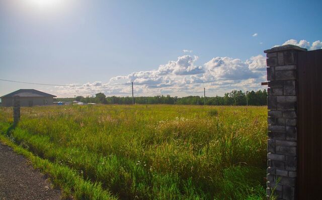 ул Заводская 17 км, городской округ Истра, Дедовск, Волоколамское шоссе фото