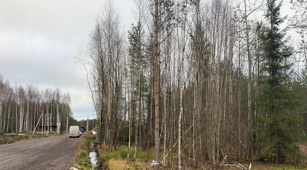 земля р-н Всеволожский г Всеволожск Щегловское Раздолье кп фото 3