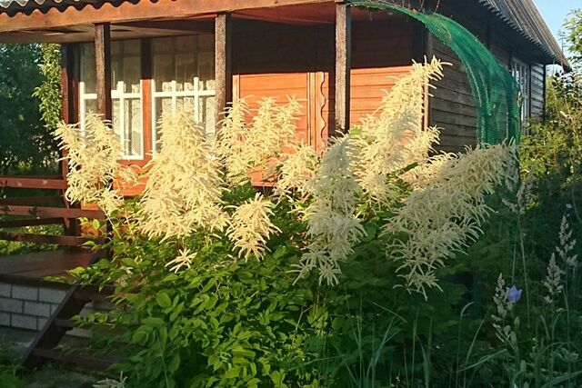 Коломна городской округ, СНТ Ягодное, Новоселки фото