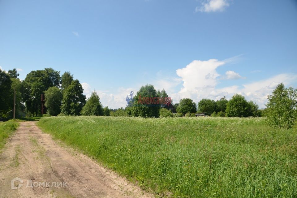 земля р-н Лужский оз. Среднее фото 1