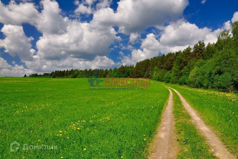 земля р-н Гатчинский фото 1