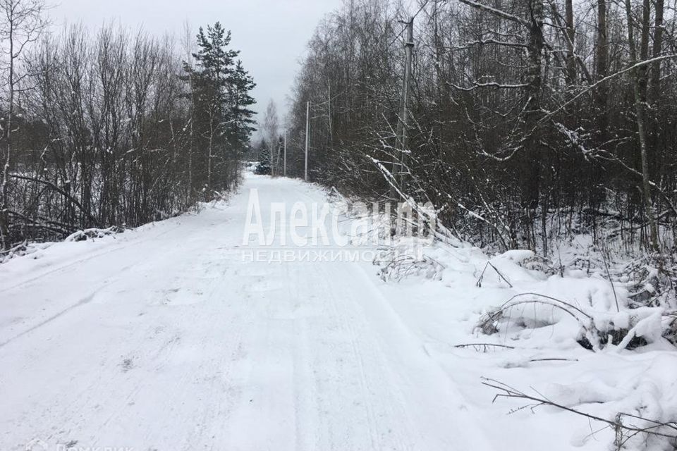 земля р-н Приозерский пос. Кротово фото 1