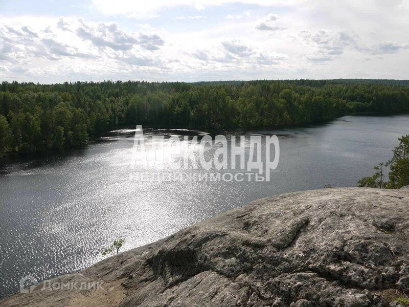 земля р-н Приозерский фото 1