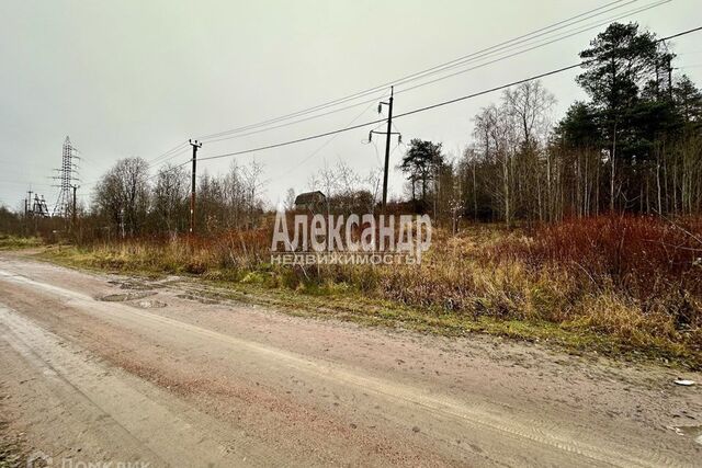 городской пос. Кузнечное фото