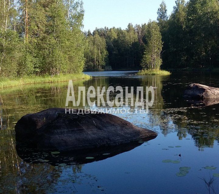 земля р-н Приозерский фото 1