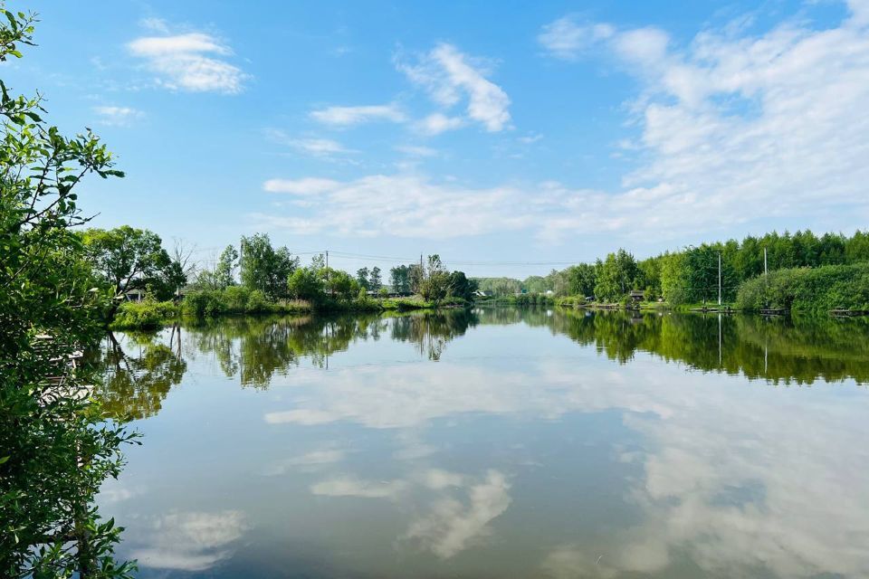 земля г Домодедово Барыбино м-н, Домодедово городской округ фото 2