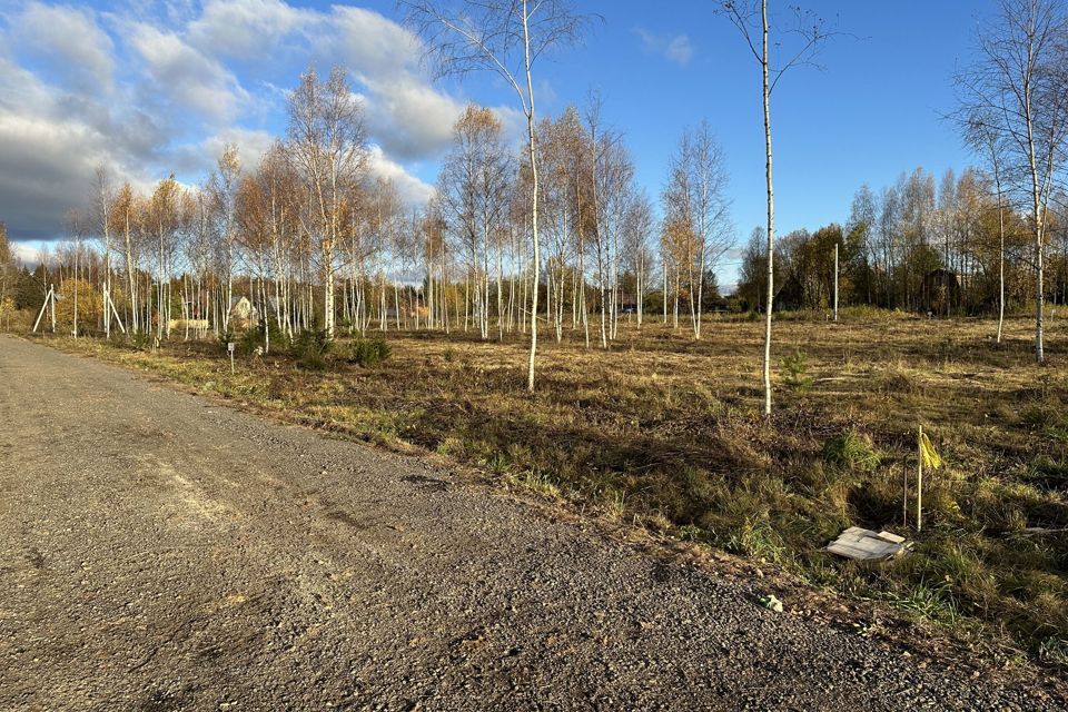 земля городской округ Дмитровский рп. Икша фото 4