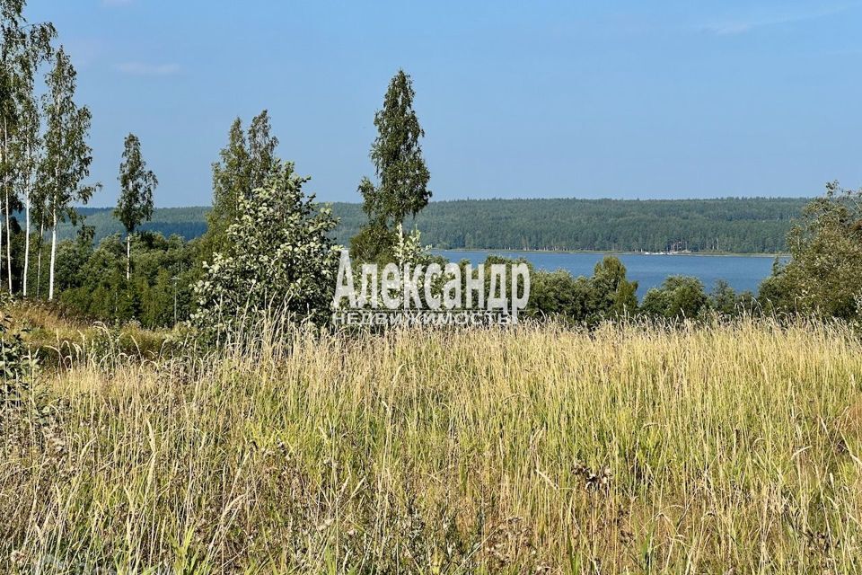 земля р-н Приозерский фото 1