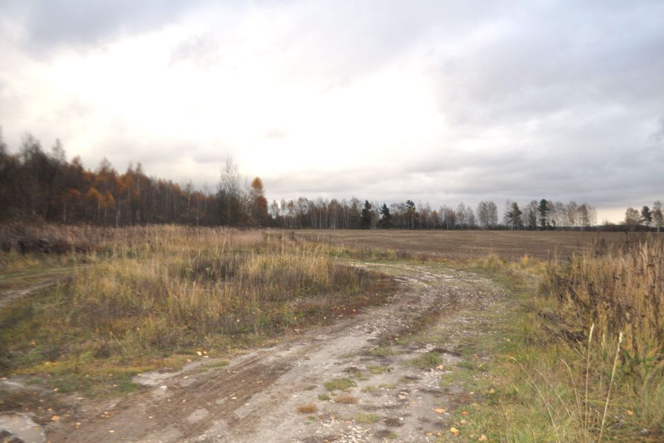 земля городской округ Егорьевск СНТ Гоша, 2 фото 4