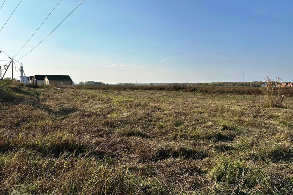 земля городской округ Богородский фото 3