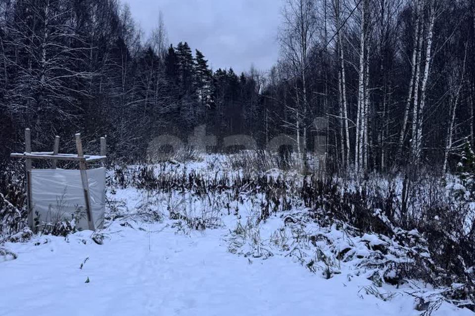 земля городской округ Дмитровский Дмитровские Дачи фото 3