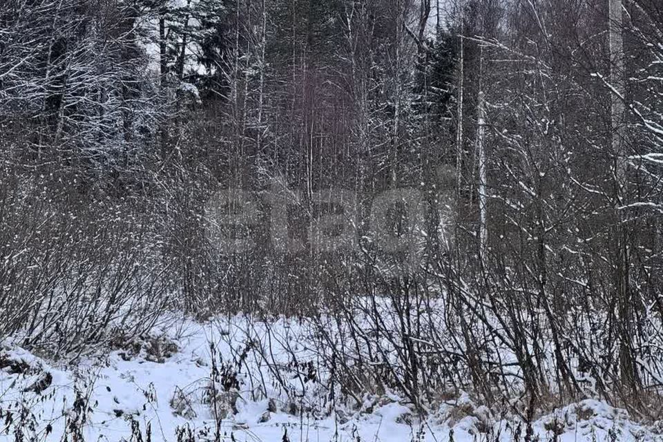 земля городской округ Дмитровский Дмитровские Дачи фото 2