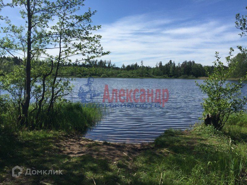 земля р-н Выборгский озеро Смирновское фото 3