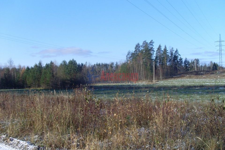 земля р-н Выборгский п Михалево Новая улица, 1 фото 2