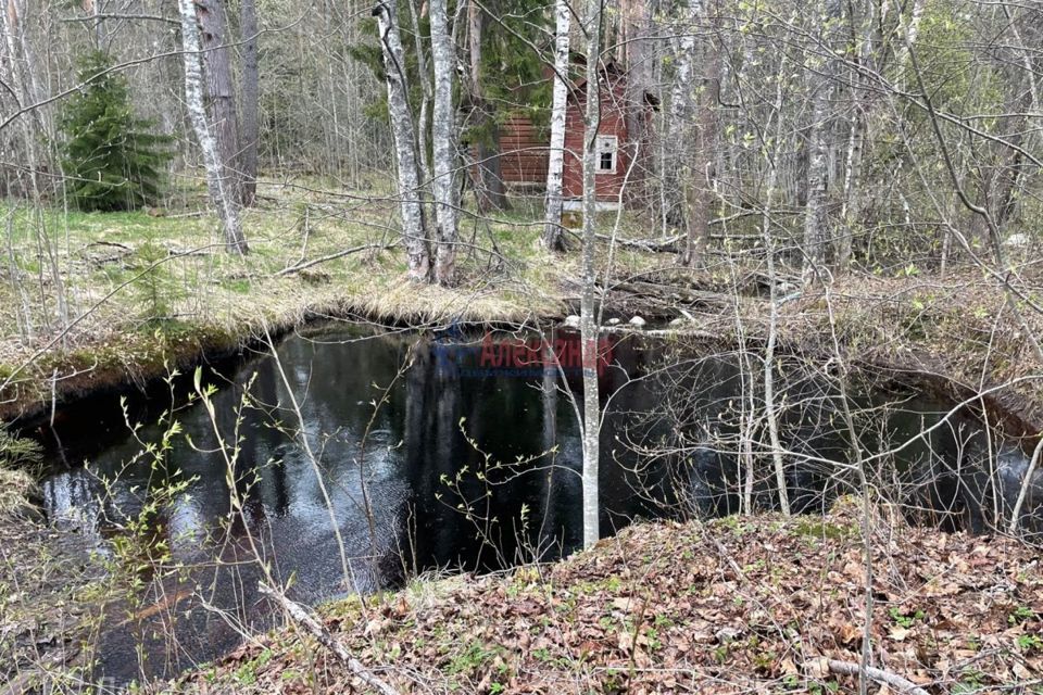 земля р-н Приозерский фото 3