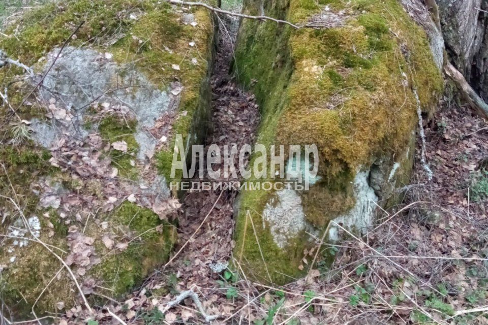 земля р-н Приозерский пос. Торфяное фото 4