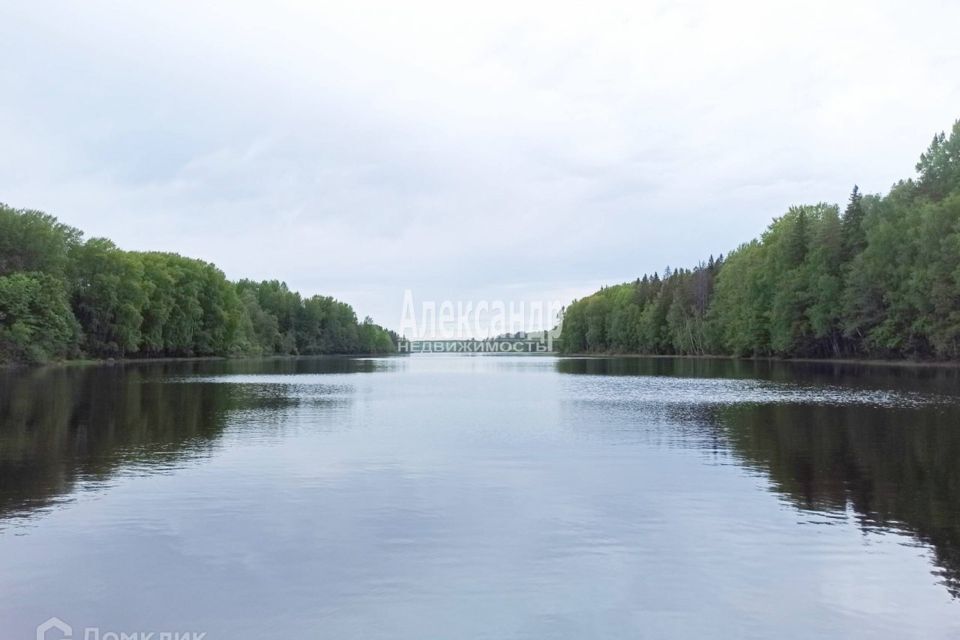 земля р-н Выборгский озеро Холмогорское фото 2