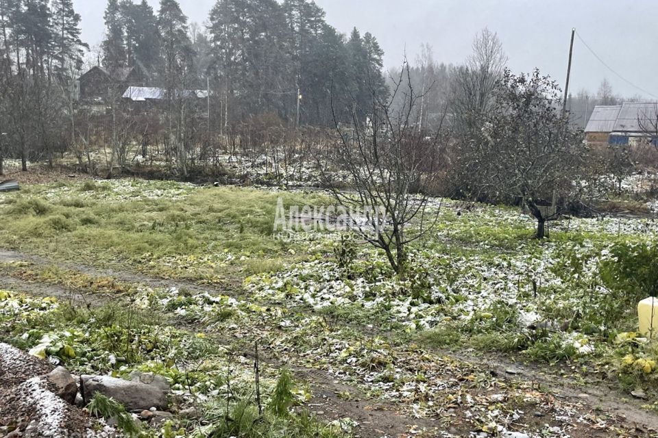 земля р-н Приозерский пос. Синёво фото 4