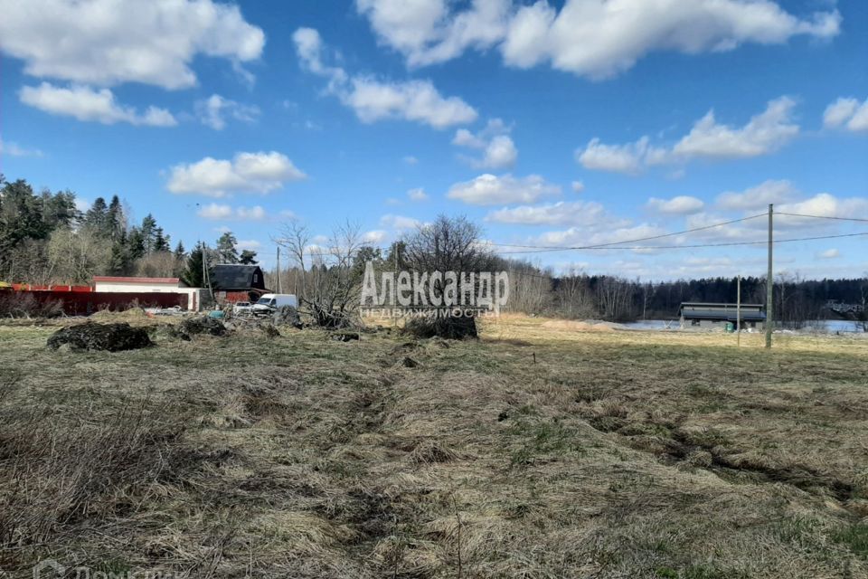 земля р-н Приозерский фото 4